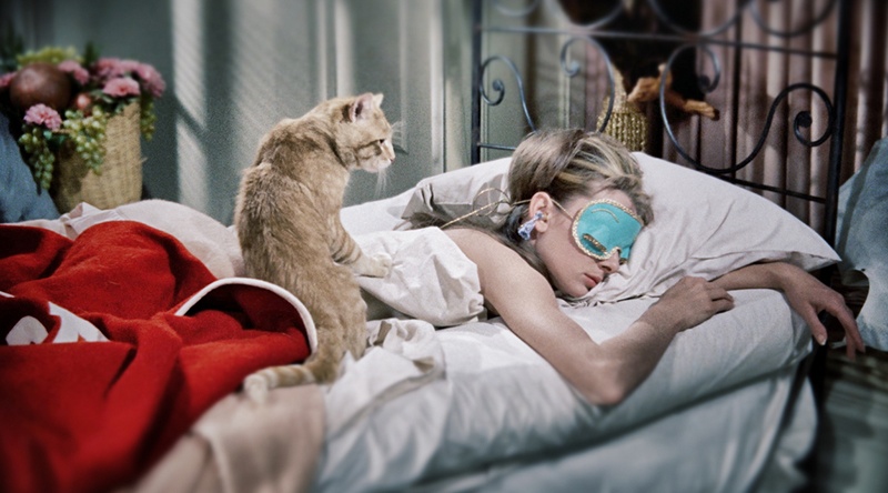 audrey-hepburn-cat-breakfast-tiffanys-sleeping