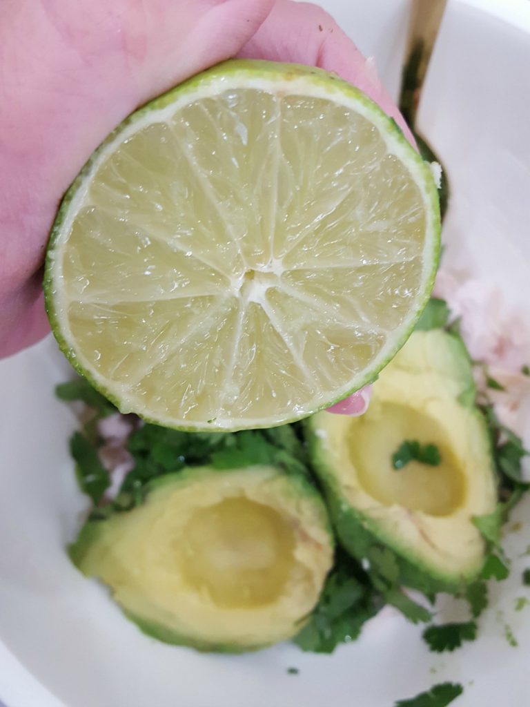 avocado-chicken-salad-theoplife-5