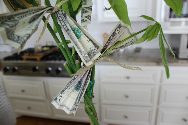 The Money Tree 4 The OP Life