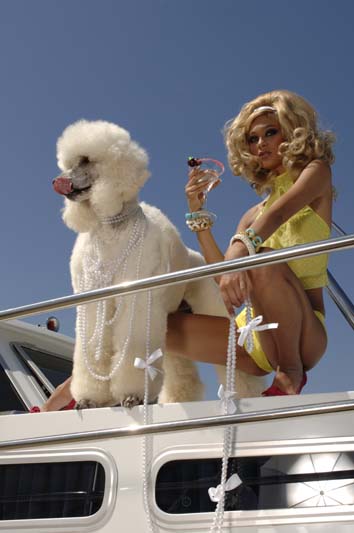 Blonde martini with fancy poodle on yaght
